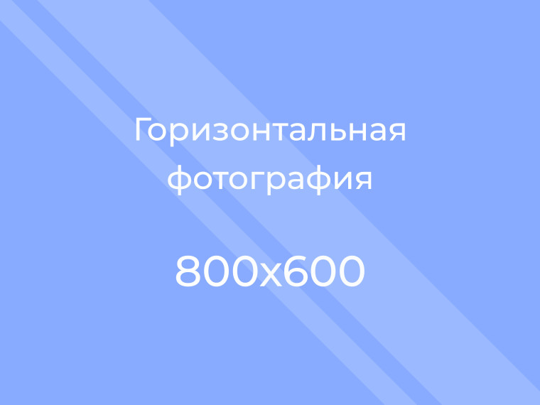 Тест. Тест.